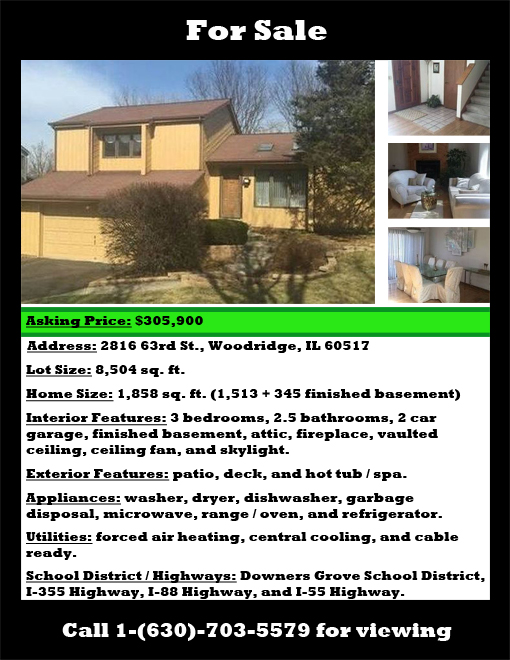 A design that I created for a real estate flyer.